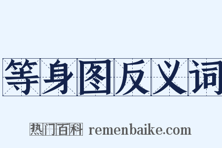 等身图反义词是什么意思的图片